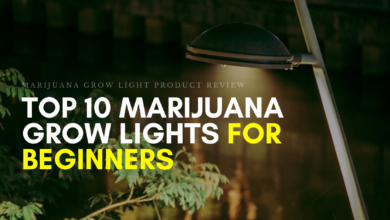top 10 Marijuana Grow Lights for Beginners Reviewed