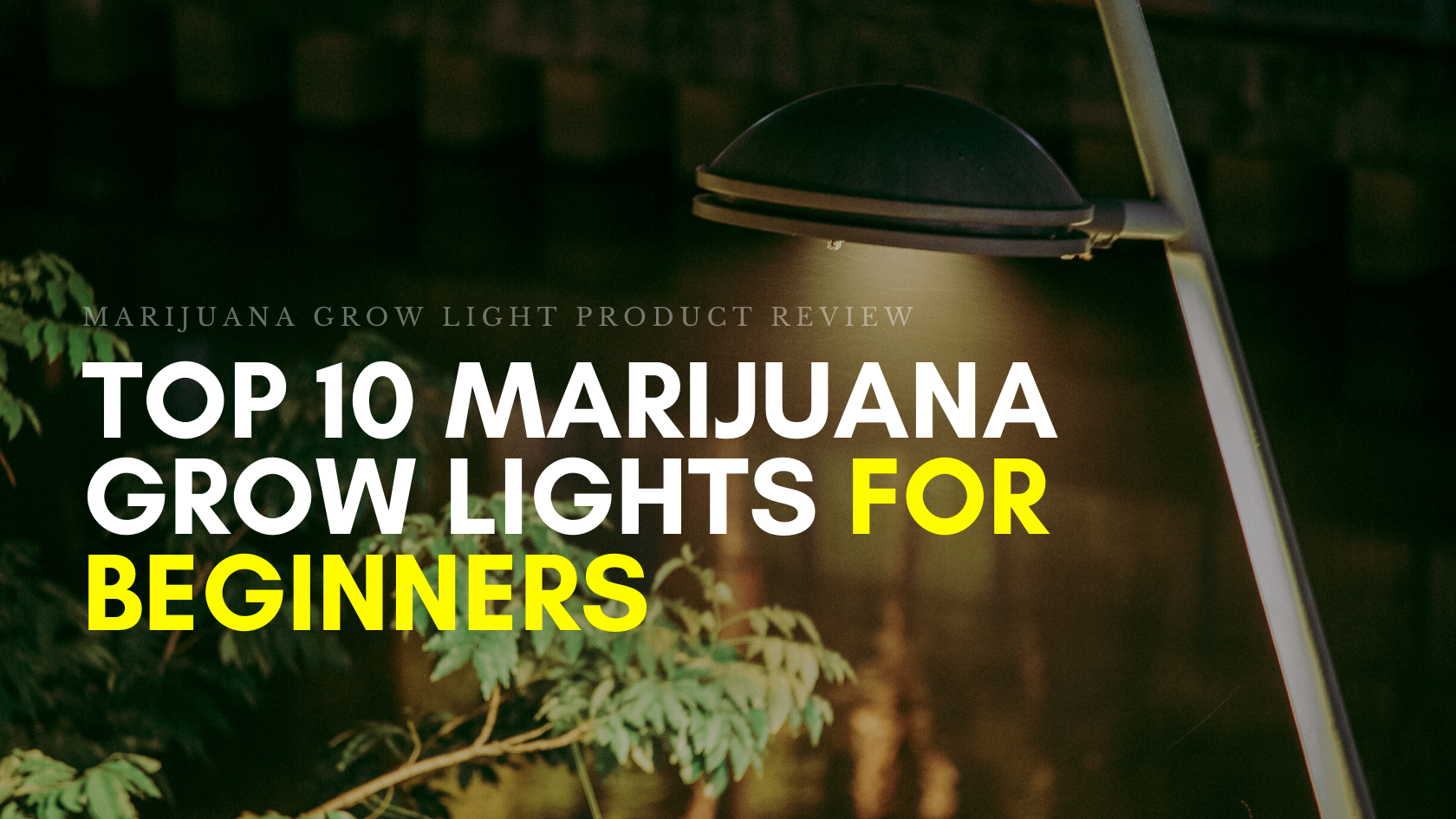 top 10 Marijuana Grow Lights for Beginners Reviewed