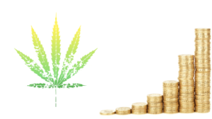 Marijuana Investing for Beginners