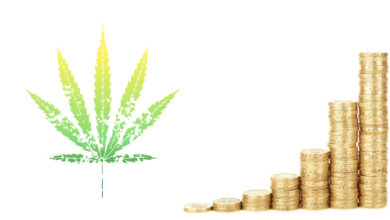 Marijuana Investing for Beginners