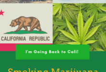 California Marijuana Law