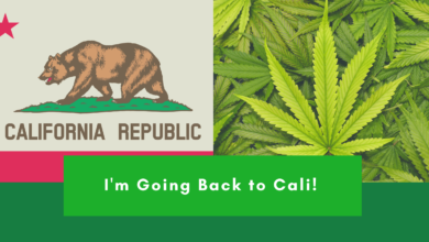 California Marijuana Law