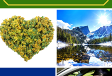 SMOKING MARIJUANA IN COLORADO
