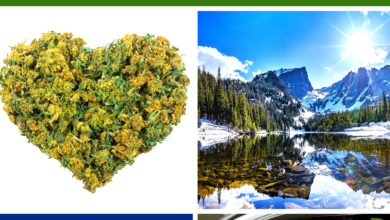 SMOKING MARIJUANA IN COLORADO